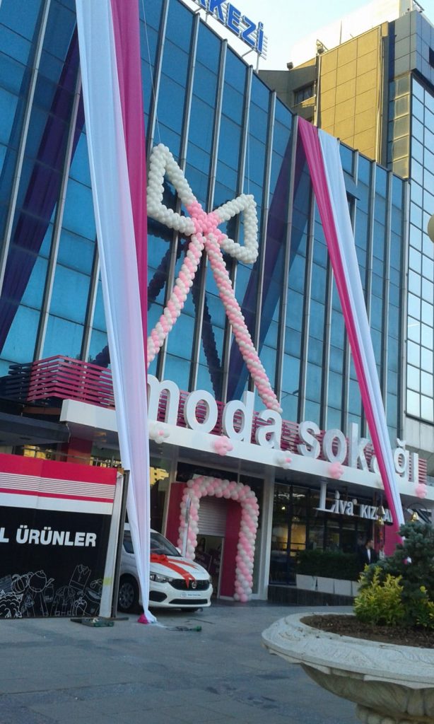 Açılış organizasyonu